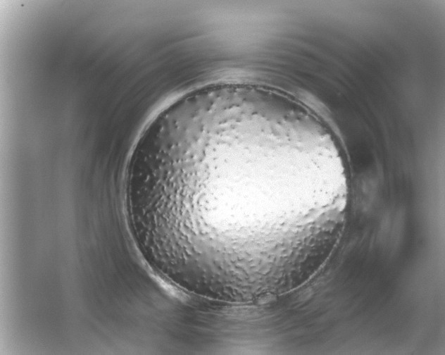 X0000066971437200603311438