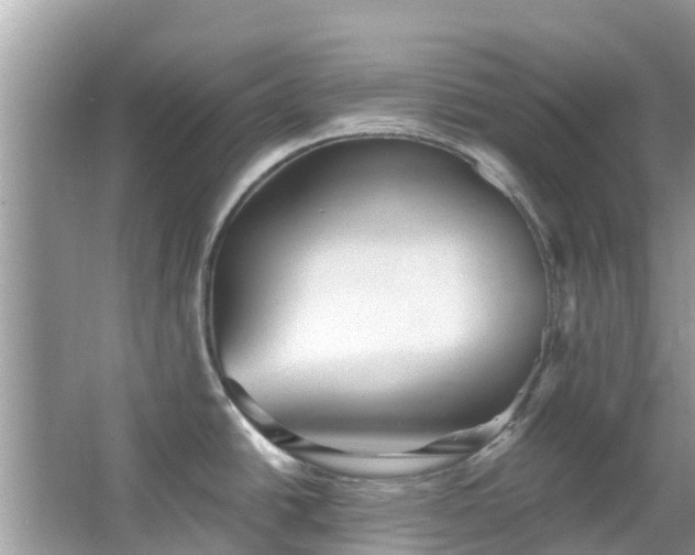 X0000066971438200603311438