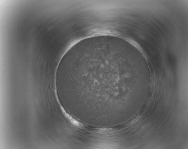 X0000066971439200603311438