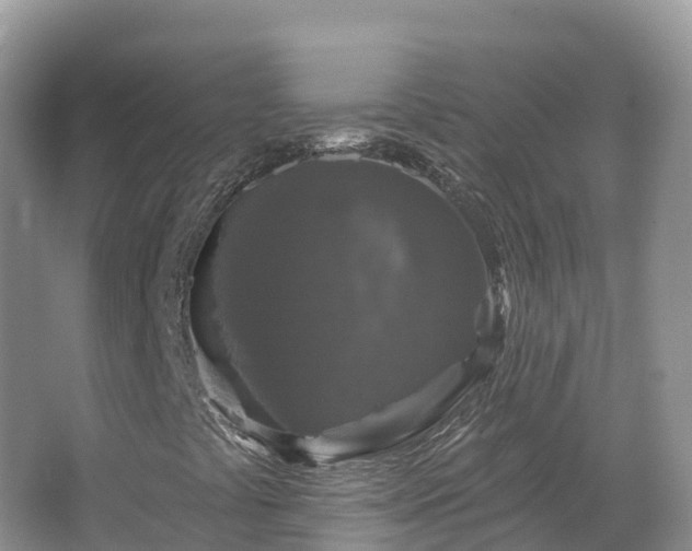 X0000066971441200603311437