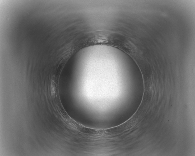 X0000066971442200603311437