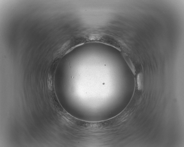 X0000066971443200603311437