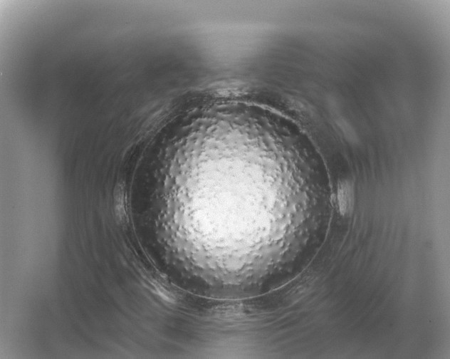 X0000066971444200603311437