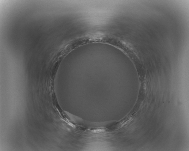 X0000066971445200603311437