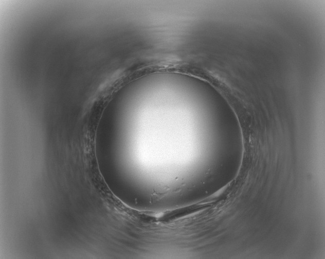 X0000066971447200603311437