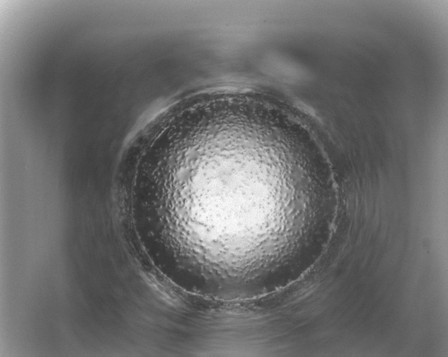 X0000066971448200603311437