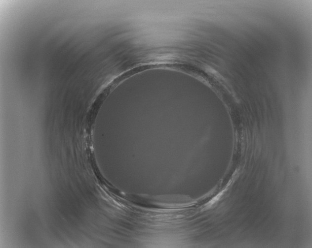 X0000066971449200603311437