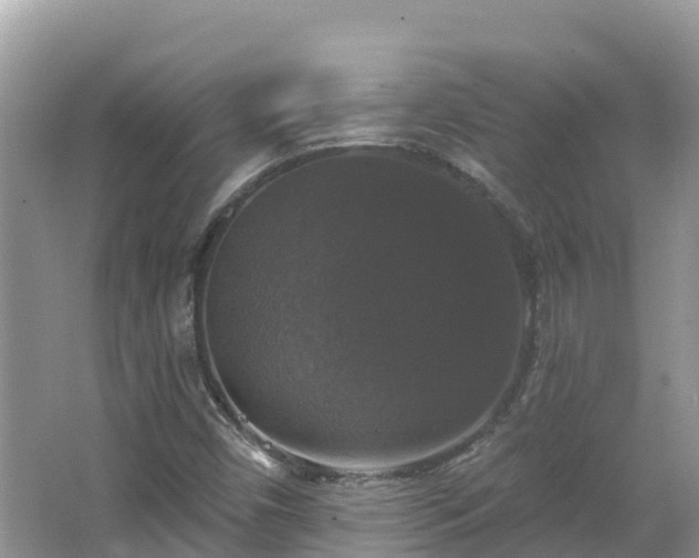 X0000066971450200603311437