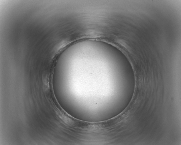 X0000066971451200603311437