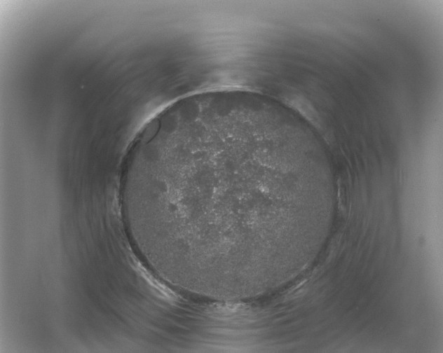 X0000066971452200603311437