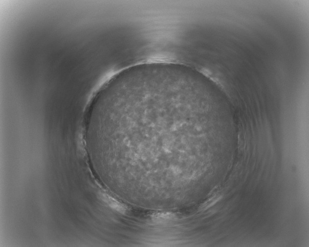 X0000066971454200603311437