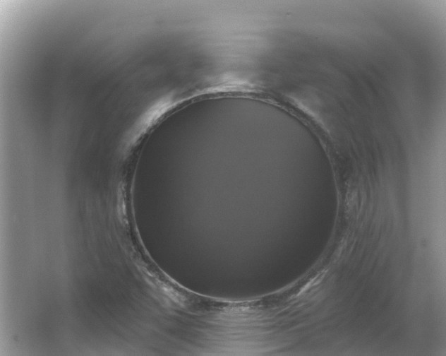 X0000066971455200603311437