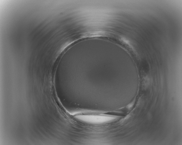 X0000066971457200603311437