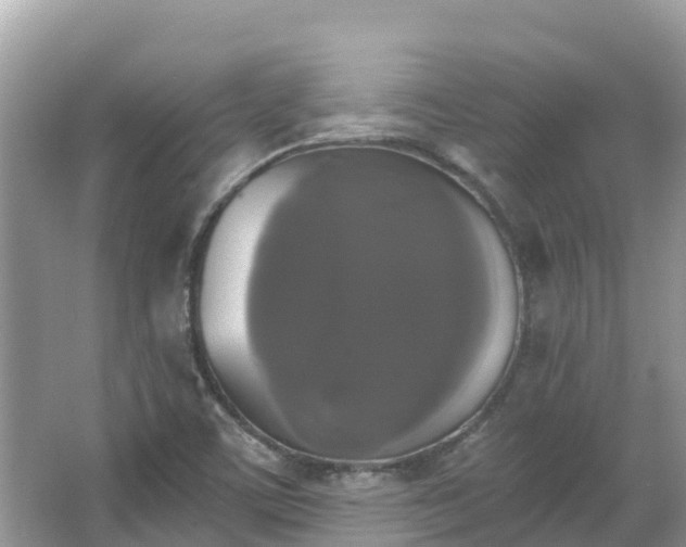 X0000066971459200603311436