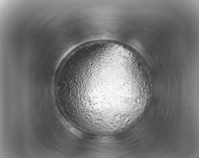 X0000066971460200603311436