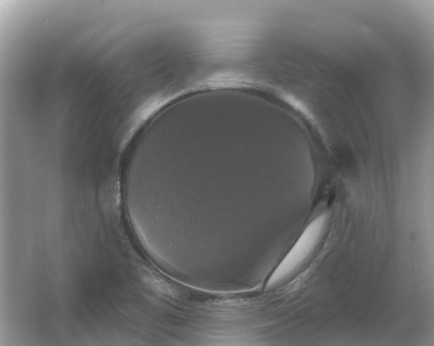 X0000066971461200603311436