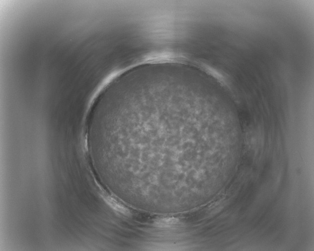 X0000066971462200603311436