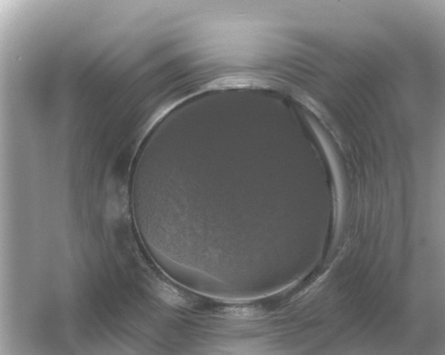 X0000066971465200603311436