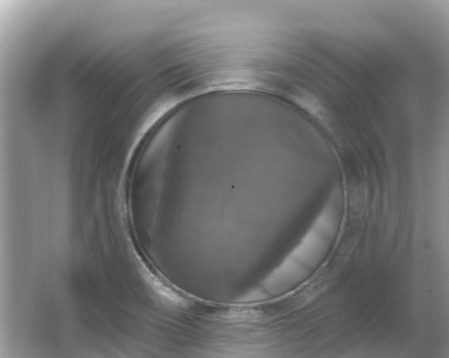 X0000066971466200603311436