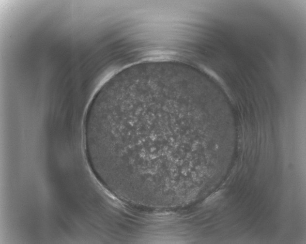 X0000066971467200603311436