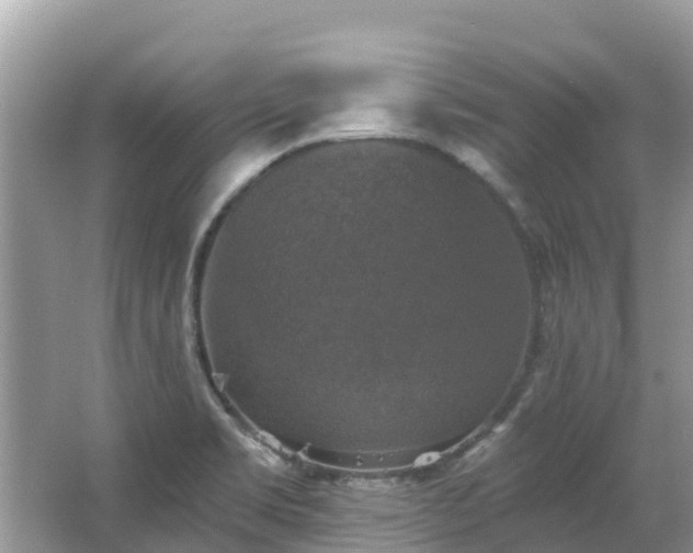 X0000066971469200603311436