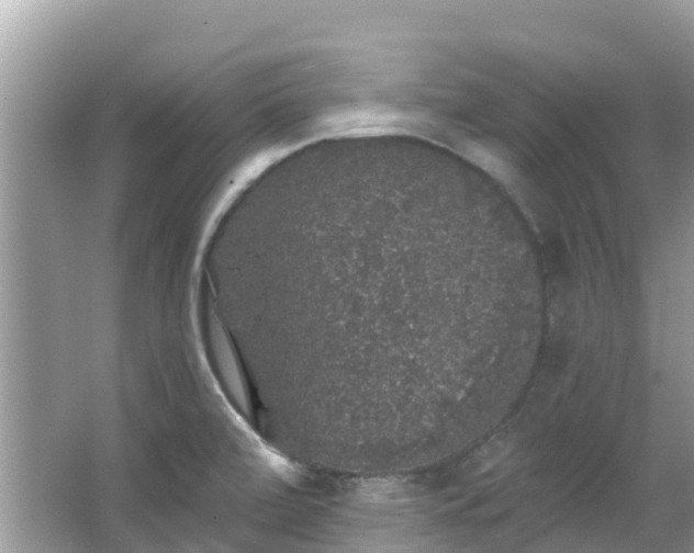 X0000066971472200603311436