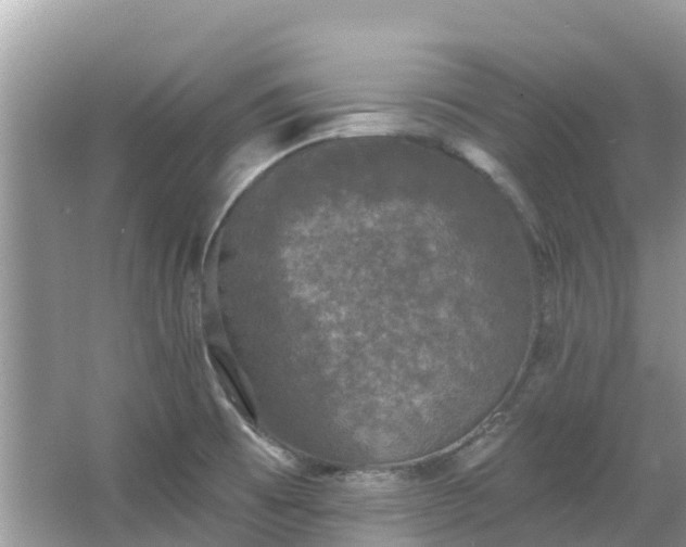 X0000066971473200603311436