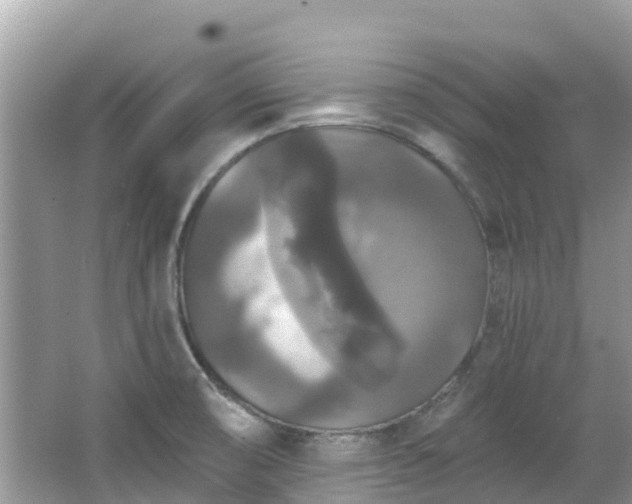 X0000066971474200603311436