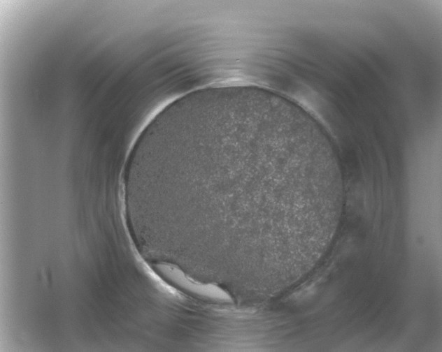 X0000066971476200603311436