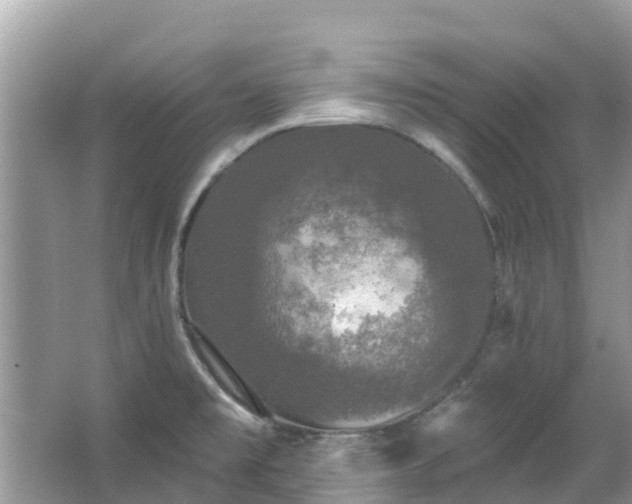 X0000066971477200603311436