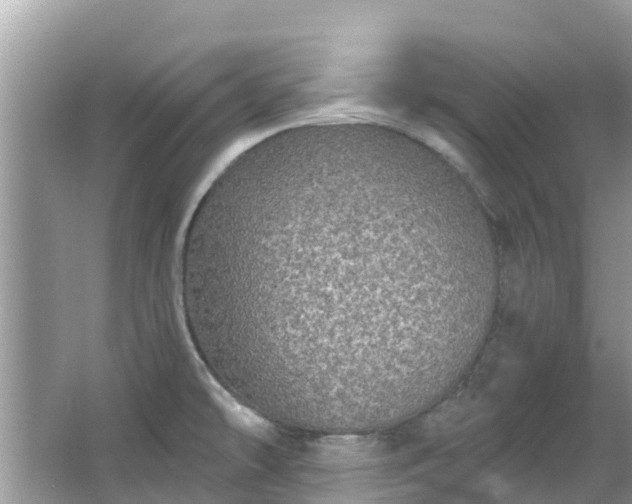 X0000066971478200603311436