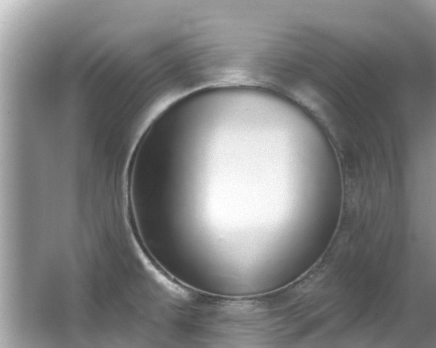 X0000066971479200603311436