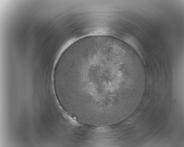 X0000066971480200603311436