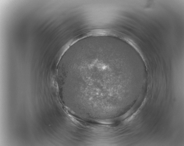 X0000066971481200603311436