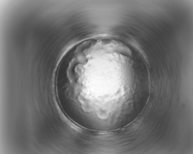 X0000066971483200603311436