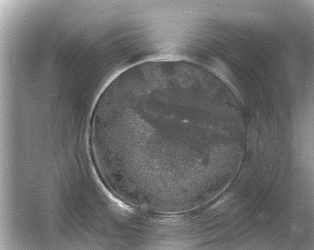 X0000066971484200603311436