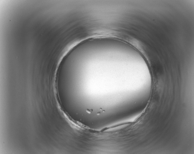 X0000066971485200603311436