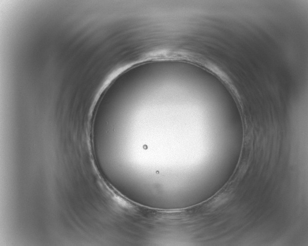 X0000066971486200603311436