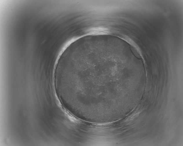 X0000066971488200603311436