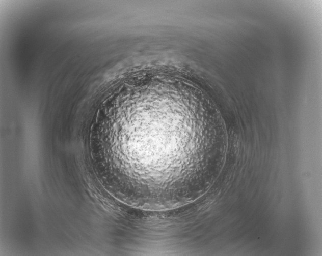 X0000066971489200603311435