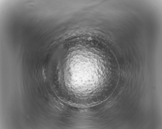 X0000066971490200603311435