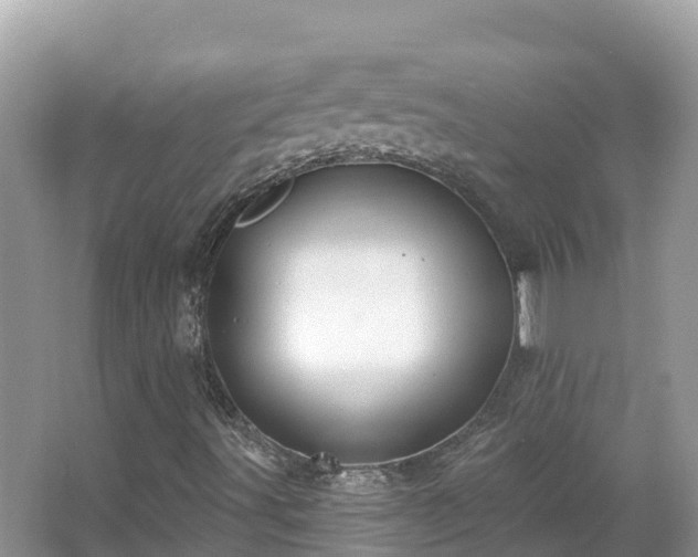 X0000066971491200603311435