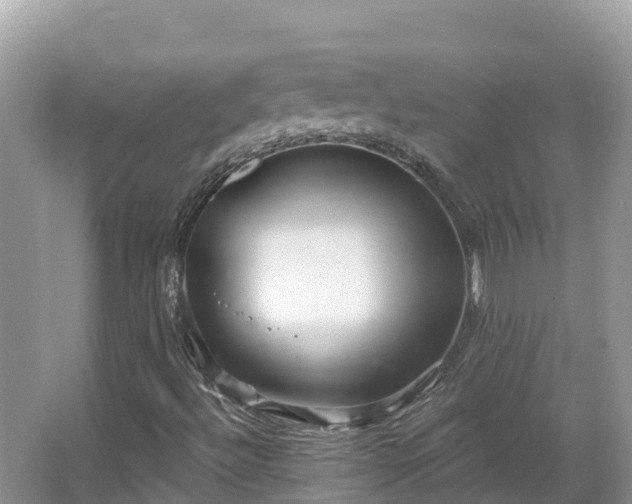 X0000066971492200603311435