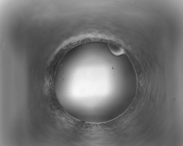 X0000066971495200603311435