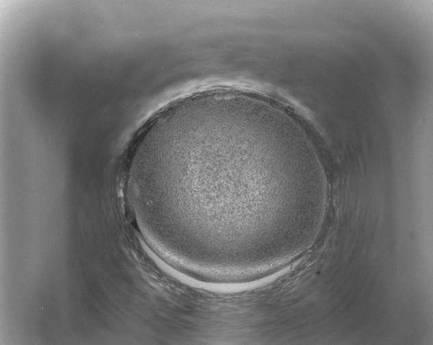 X0000066971496200603311435