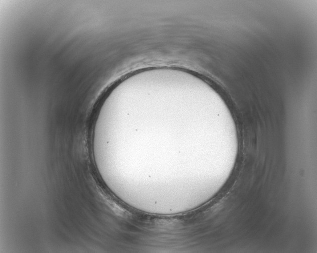 X0000066971498200603311435