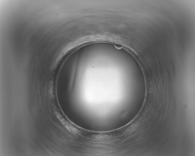 X0000066971499200603311435