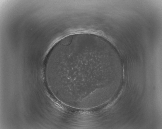 X0000066971501200603311435