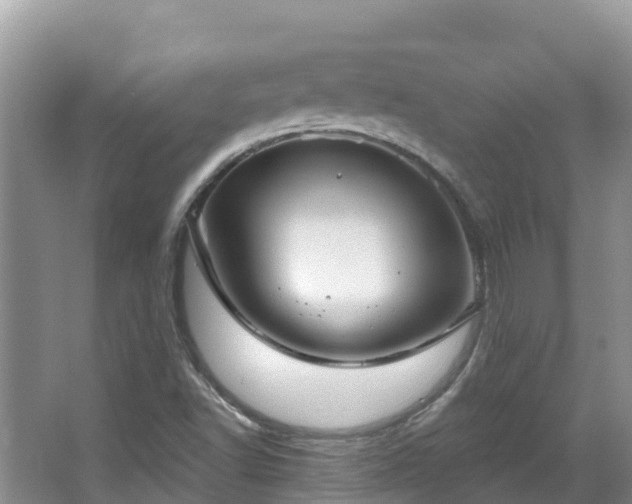 X0000066971502200603311435