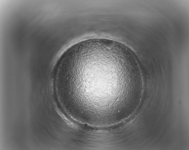 X0000066971503200603311435